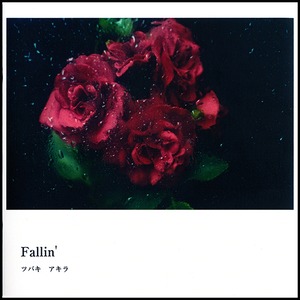 球体関節人形写真集「Fallin'」