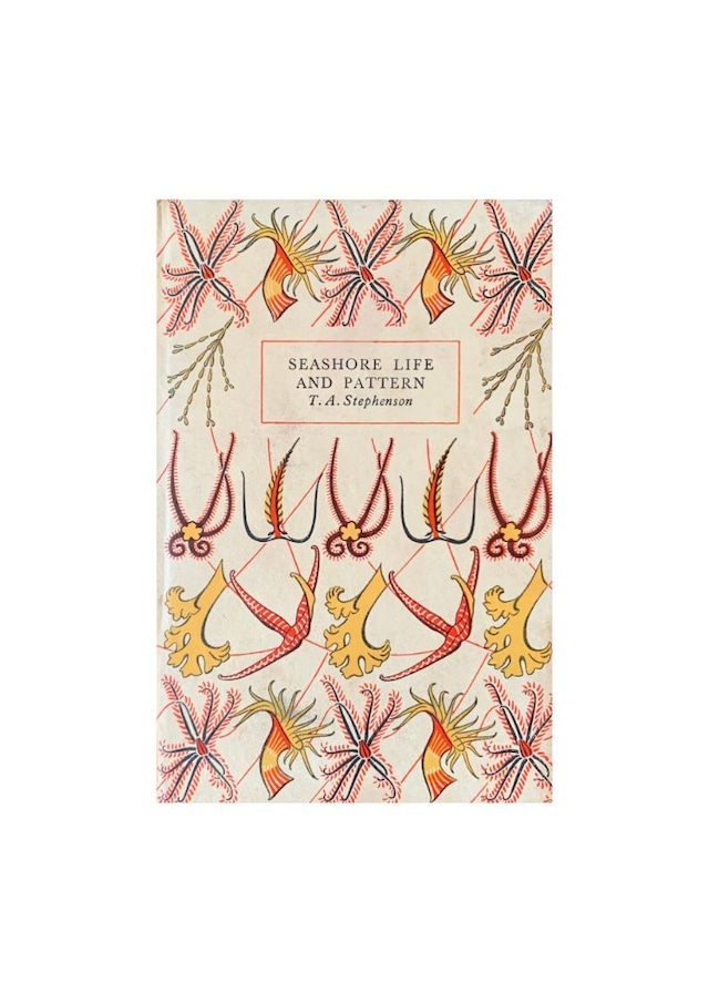 KING PENGUIN BOOKS 15   SEASHORE LIFE AND PATTERN　「海辺の生物と模様」