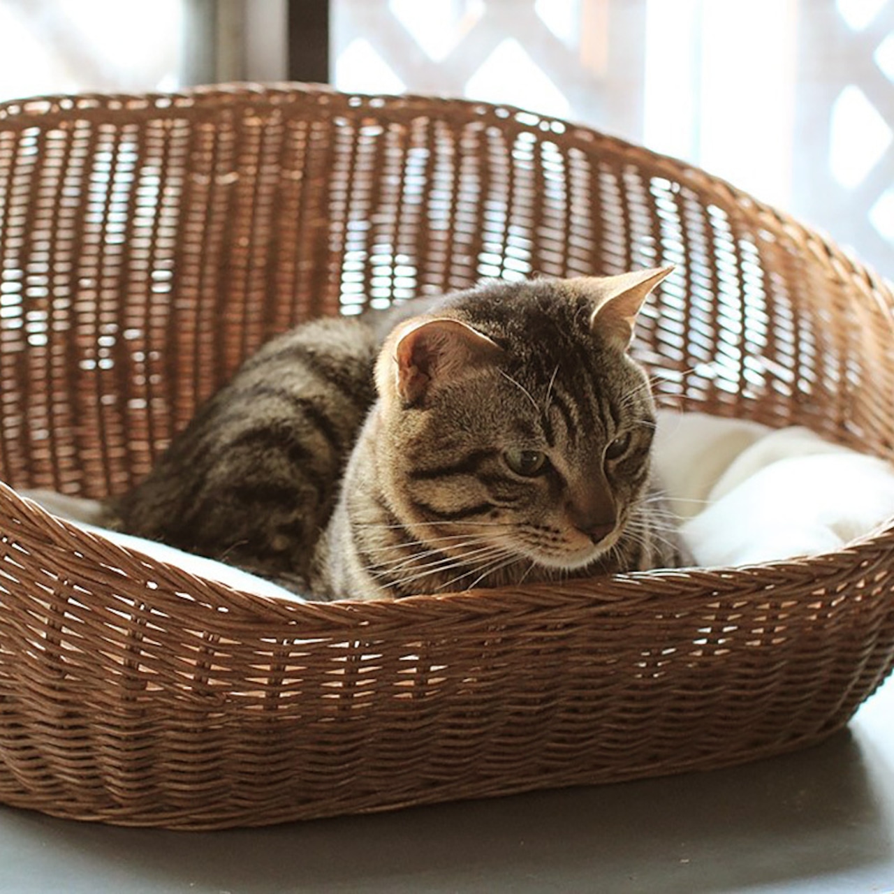 【ラタンオーバルベッド】シンプルでスタイリッシュなオーバルタイプ!※お取り寄せ商品です。