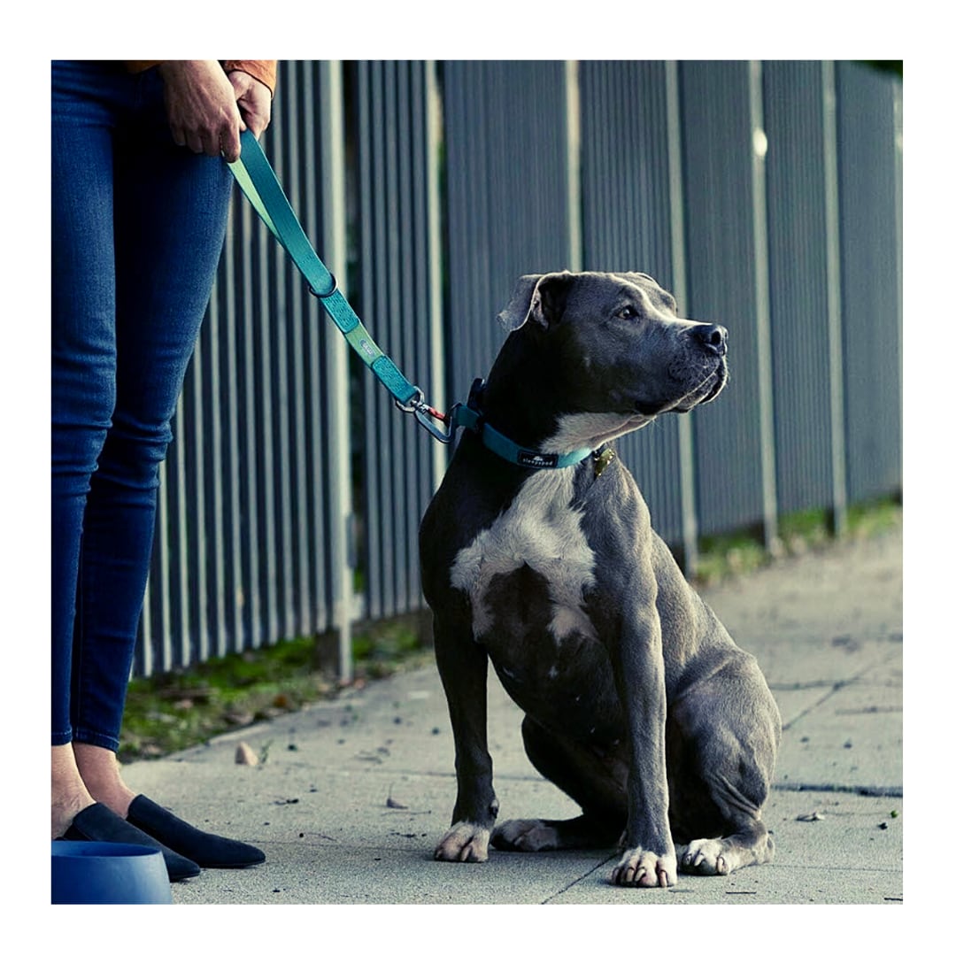 【Sleepypod】軽量なのに強度バッチリ 大型犬向けショートリード