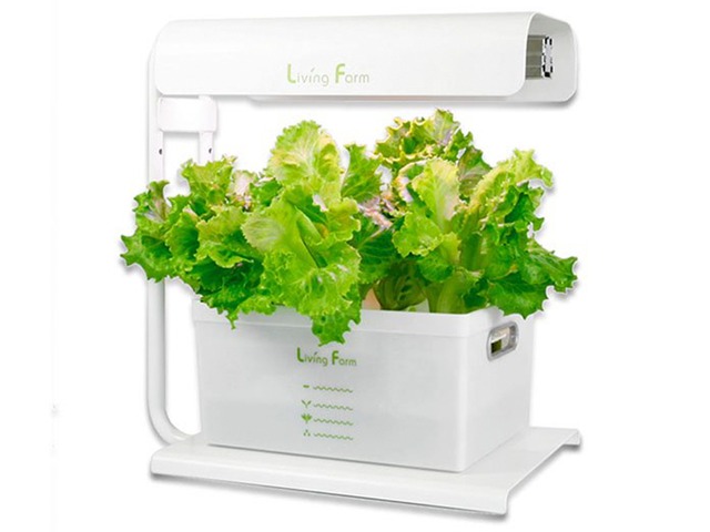 小型水耕栽培 ココベジ i