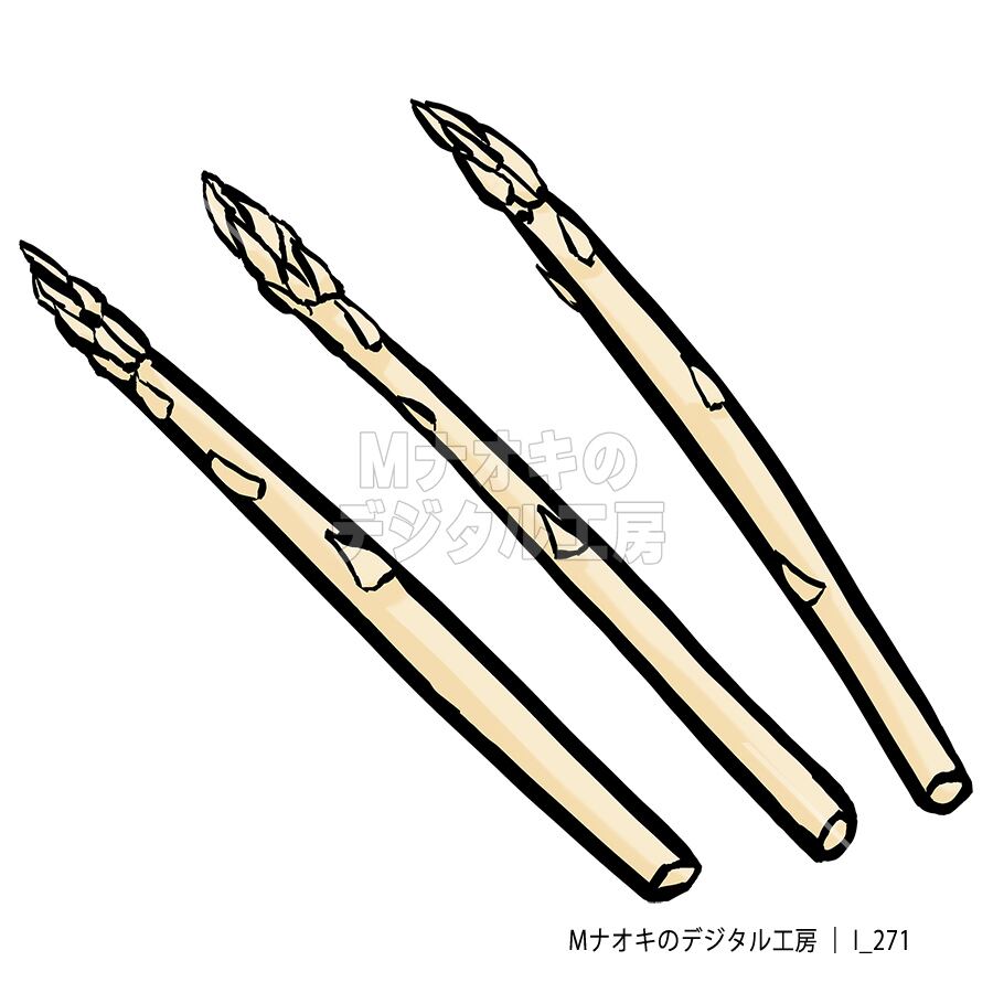 ホワイトアスパラガス（筆タッチ） 【I_271】 white asparagus （brush style）