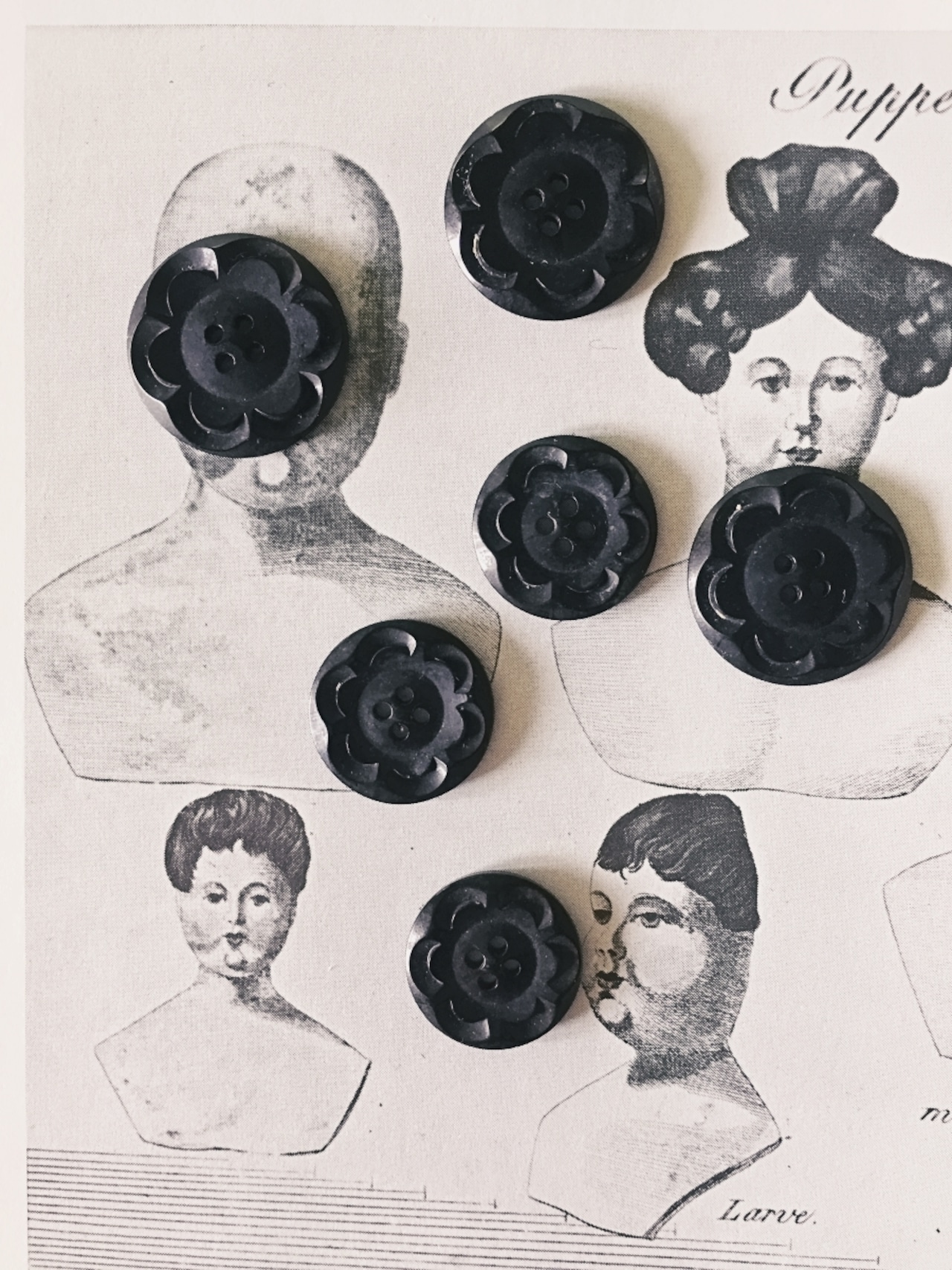 フランス 1900s 幾何学の黒花とgalalithe製ボタンセットb アンティーク