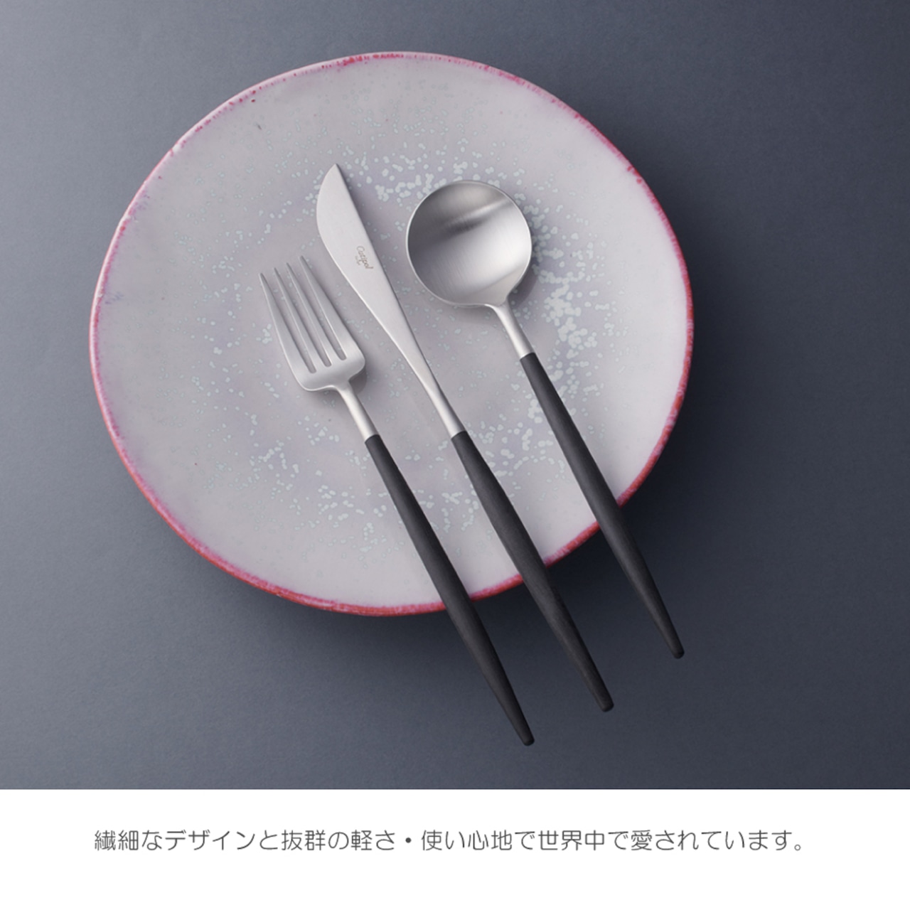 【Cutipol(クチポール)】GOA テーブルスプーン/ディナーフォーク(ブラック×シルバー)単品