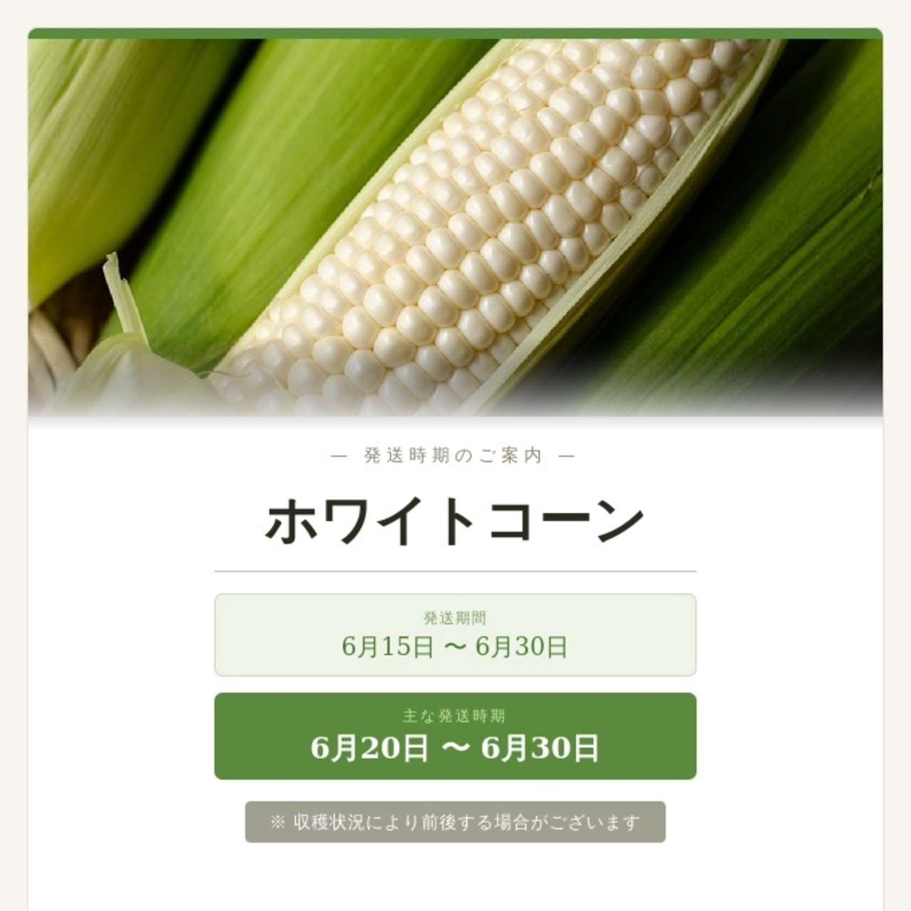 予約【まるで梨のような甘さ】淡路島産 白いとうもろこし（ホワイトコーン）4-5本 産地直送