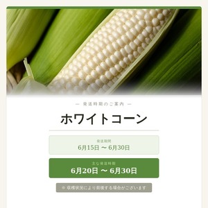 予約【まるで梨のような甘さ】淡路島産 白いとうもろこし（ホワイトコーン）4-5本 産地直送