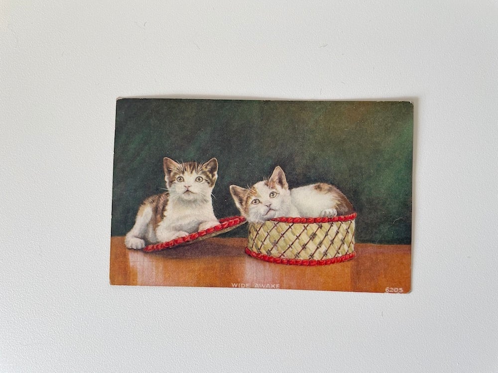 【イギリス】2匹の猫のポストカード / カゴの中からこんにちは