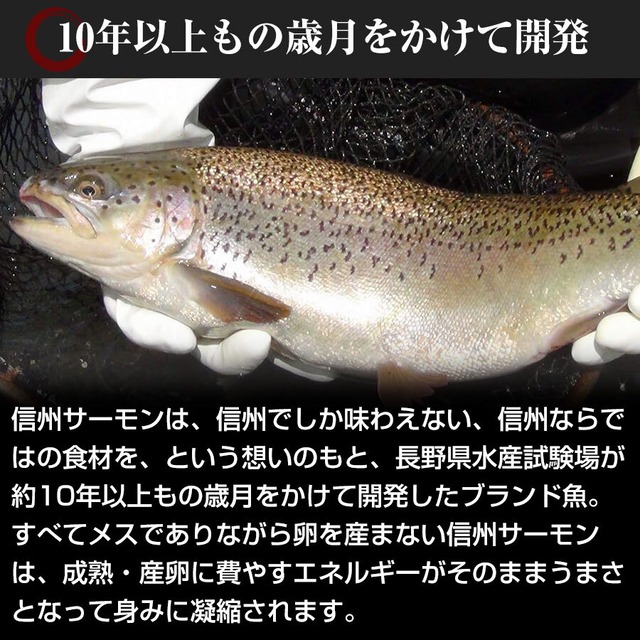 長野県ブランド魚 信州サーモン 3枚卸 2～2.5㎏ おいしい 新鮮 魚 養殖 柵 生 冷蔵 刺身 丼 カルパッチョ マリネに