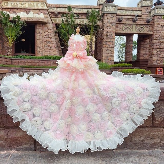 pink roads skirt separate long dress