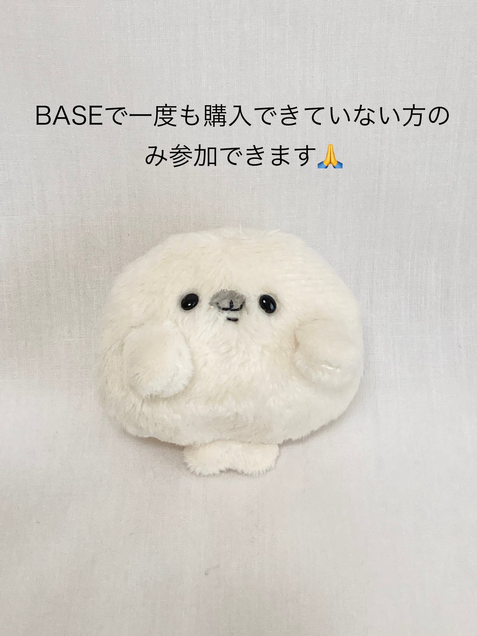 抽選販売】アザラシのあかちゃん（白） BASEで一度も購入できていない