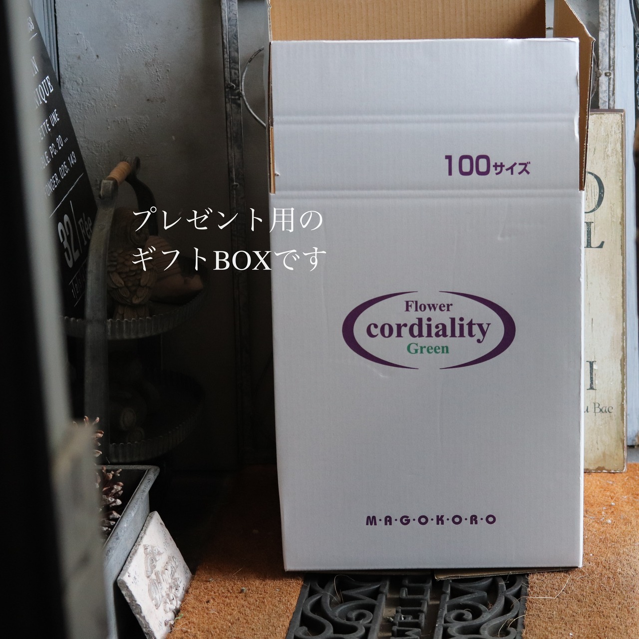 冬から春に楽しむ寄せ植え　ビオラティアードのピンクの小さなお正月　　お正月にオススメ　届いてすぐ玄関に飾れる 　プレゼントにもオススメ　