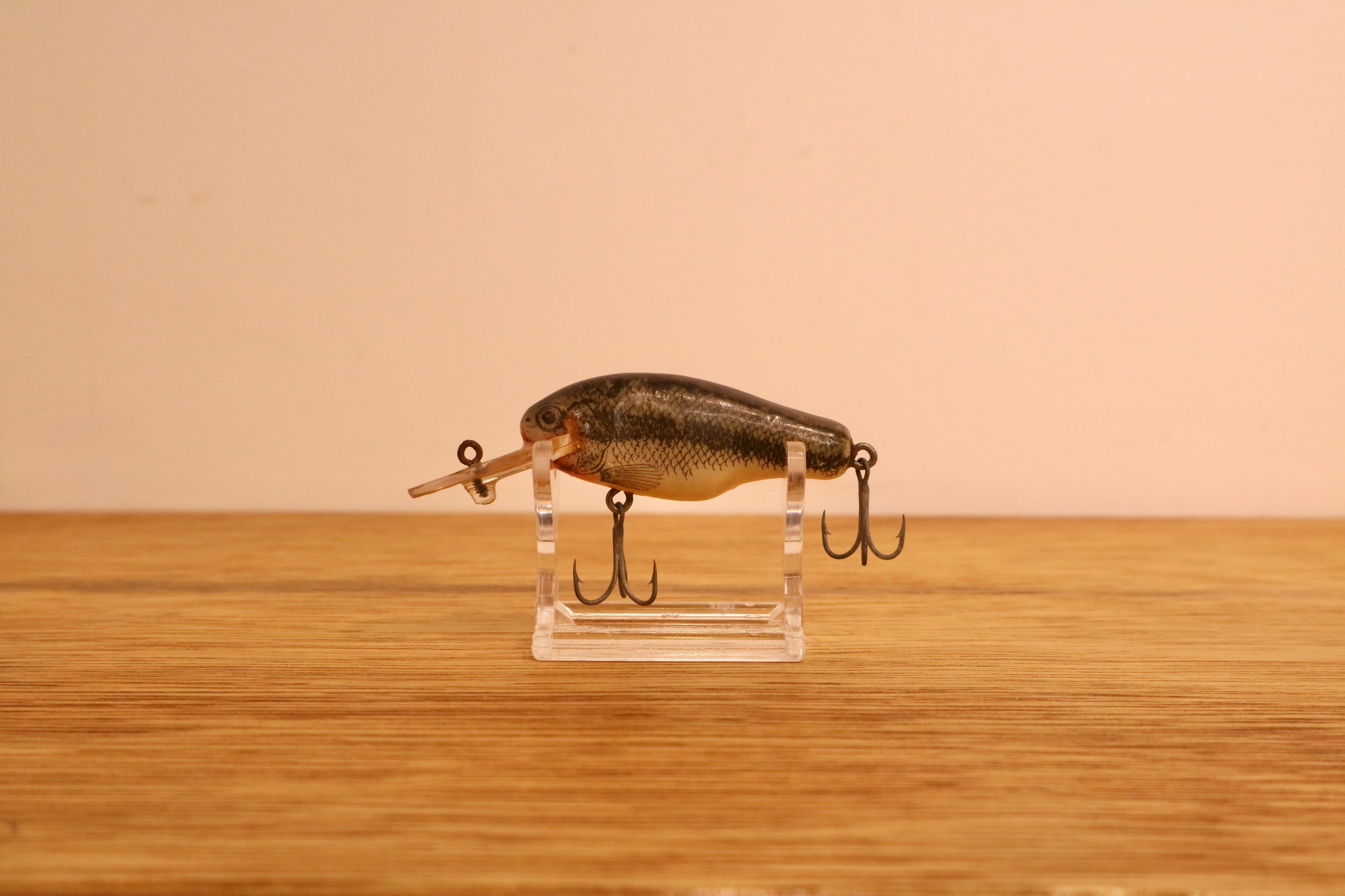 CORMORAN (コーモラン) / ダイブバス (バス)