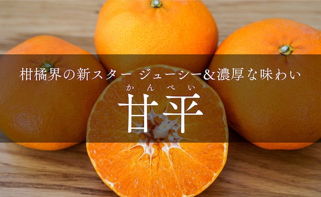 【2026年売り切れ】甘平（かんぺい）　1kg〜10kg