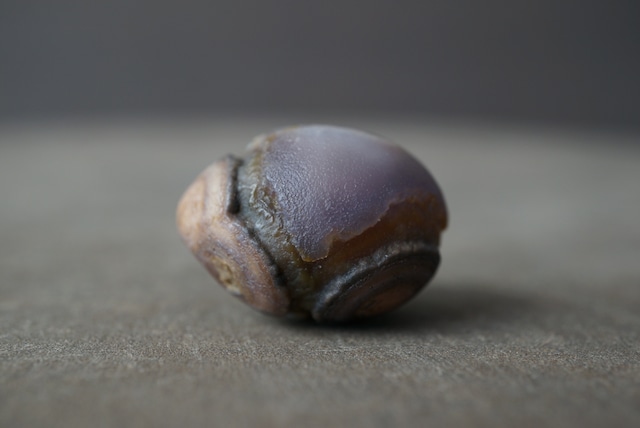 ゴビアゲート Gobi Agate 1685