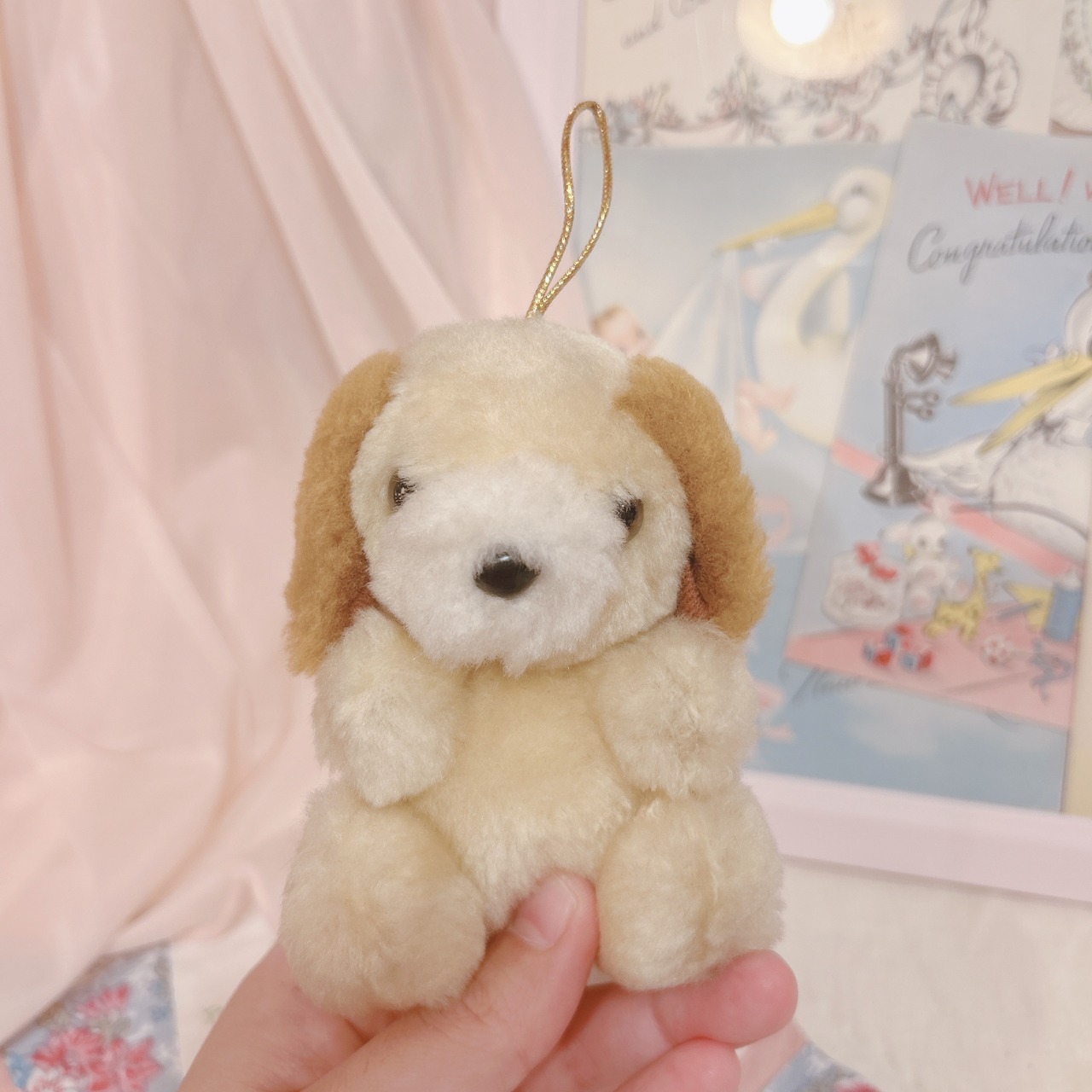 mini dogの画像02