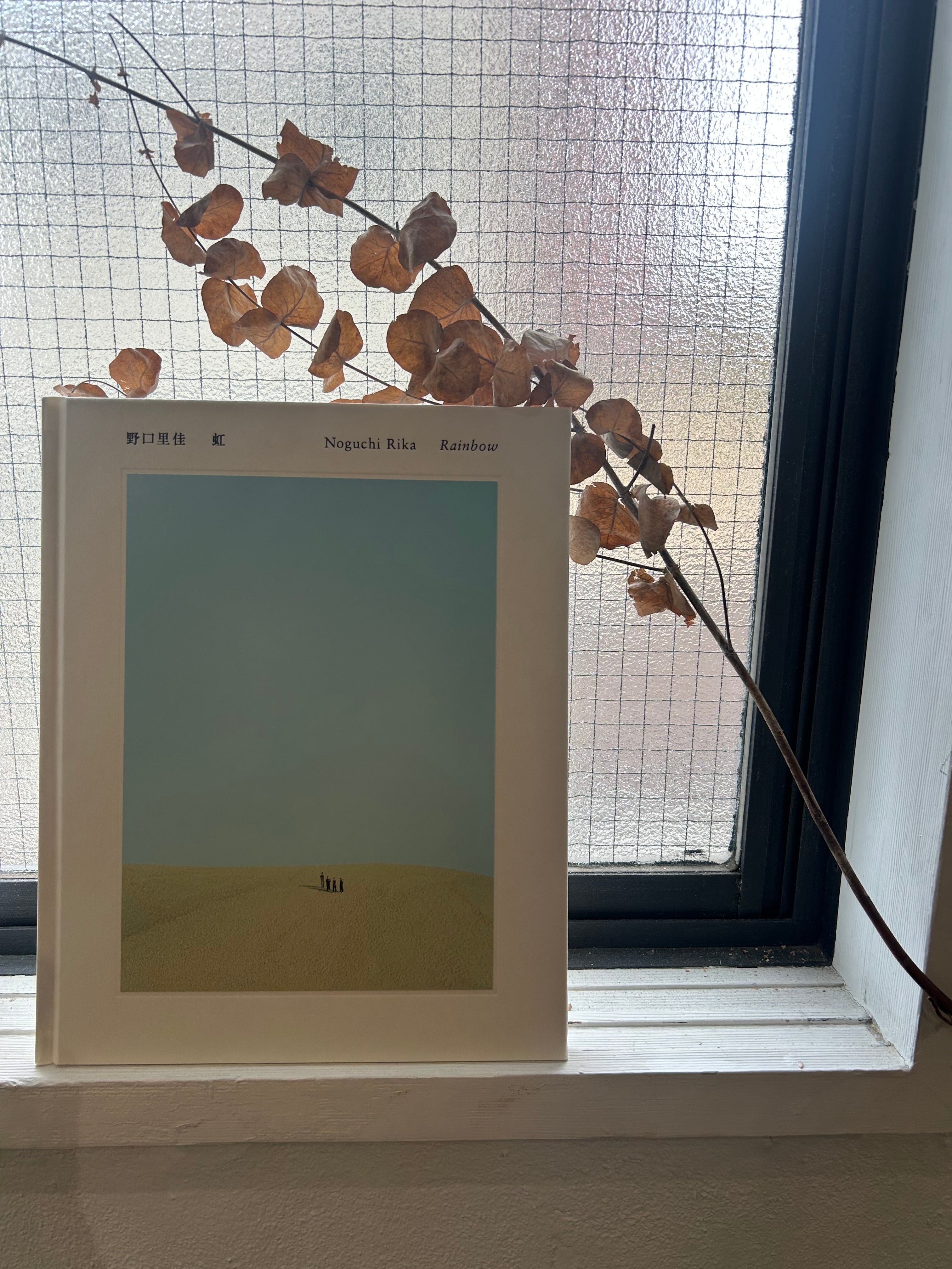 野口里佳写真集『虹』サイン入り | LIBRIS KOBACO