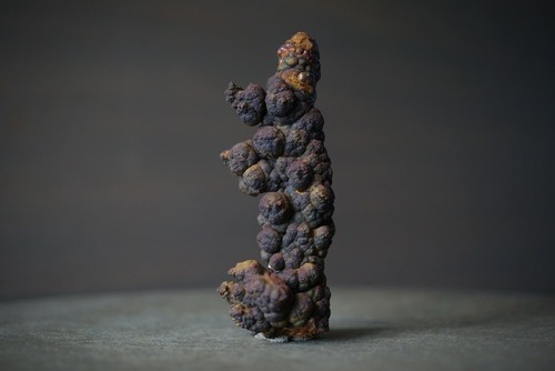 リモナイト Goethite var. Limonite 1554