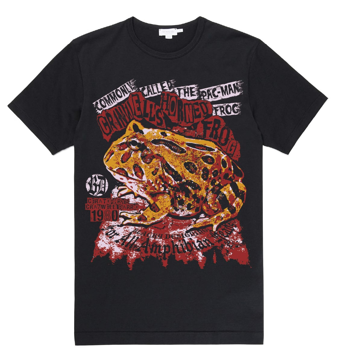 ジモティー限定価格！APEレインボーサークルトリムTシャツ レインボーツアーTシャツ ホワイト(XL) : Rockon Social Club