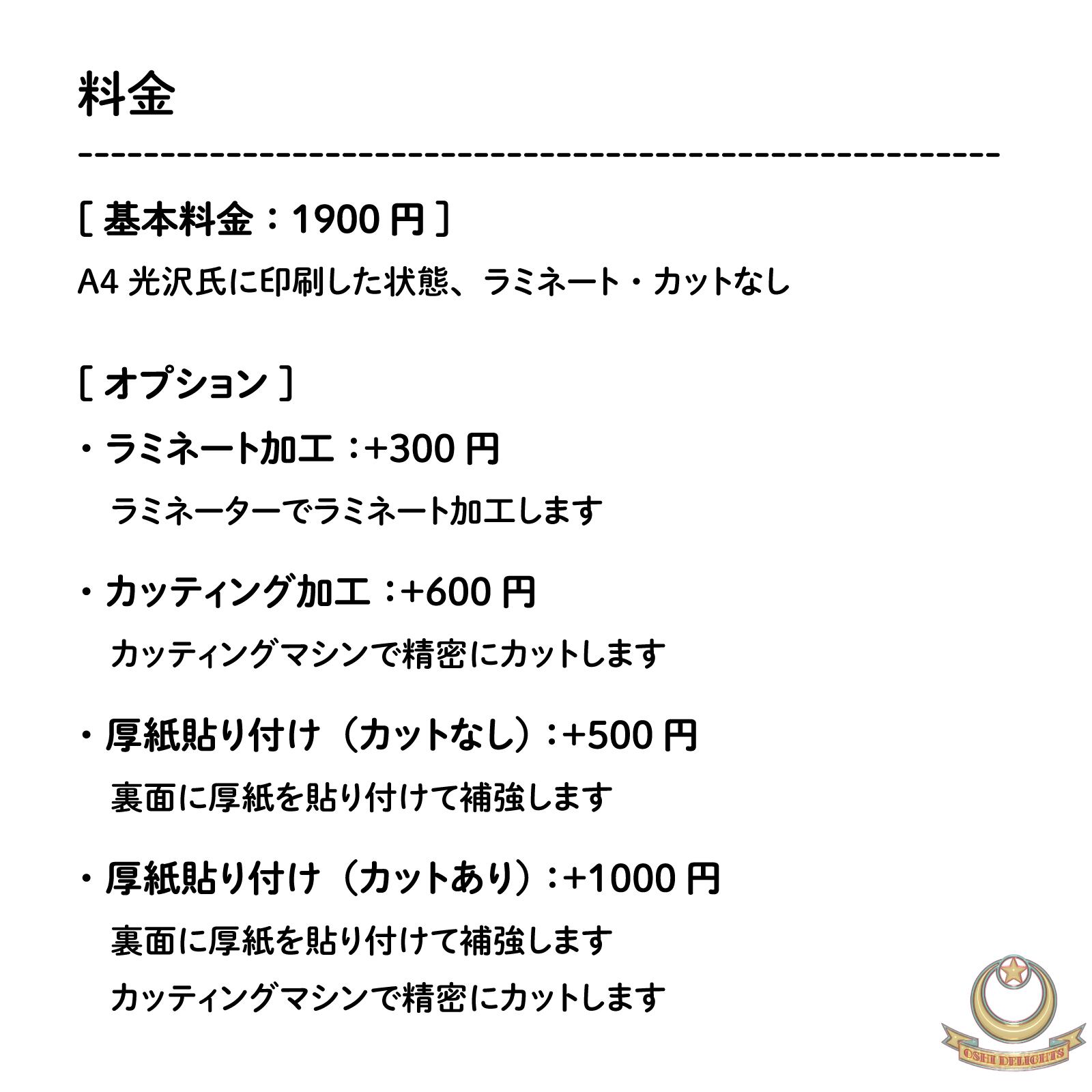 &TEAM HARUA ハルア ] ぷっくりネームボード 夢かわネオン [ A4