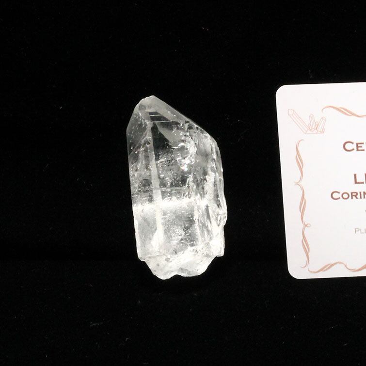 レムリアンシード 水晶 原石 ブラジル ミナスジェライス州 コリント産 証明書付属 一点物 271-279