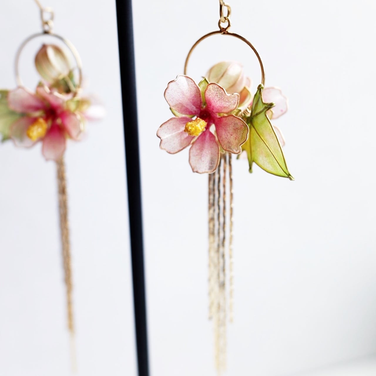 芙蓉