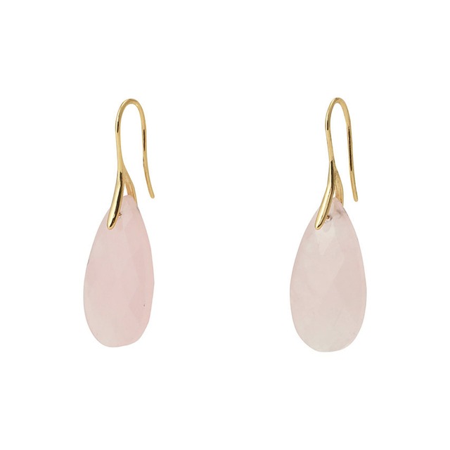 PIERRE ROSEピアス