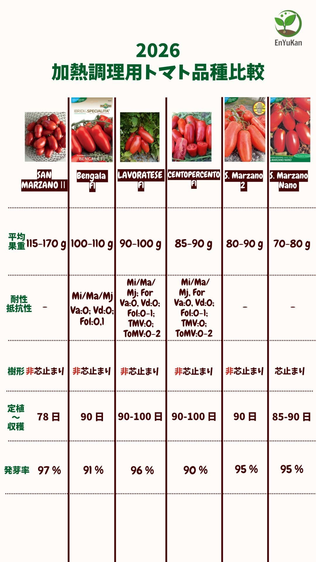 加熱調理トマト・SAN MARZANO Ⅱ(固定種)【30粒-オーガニック種子】<J
