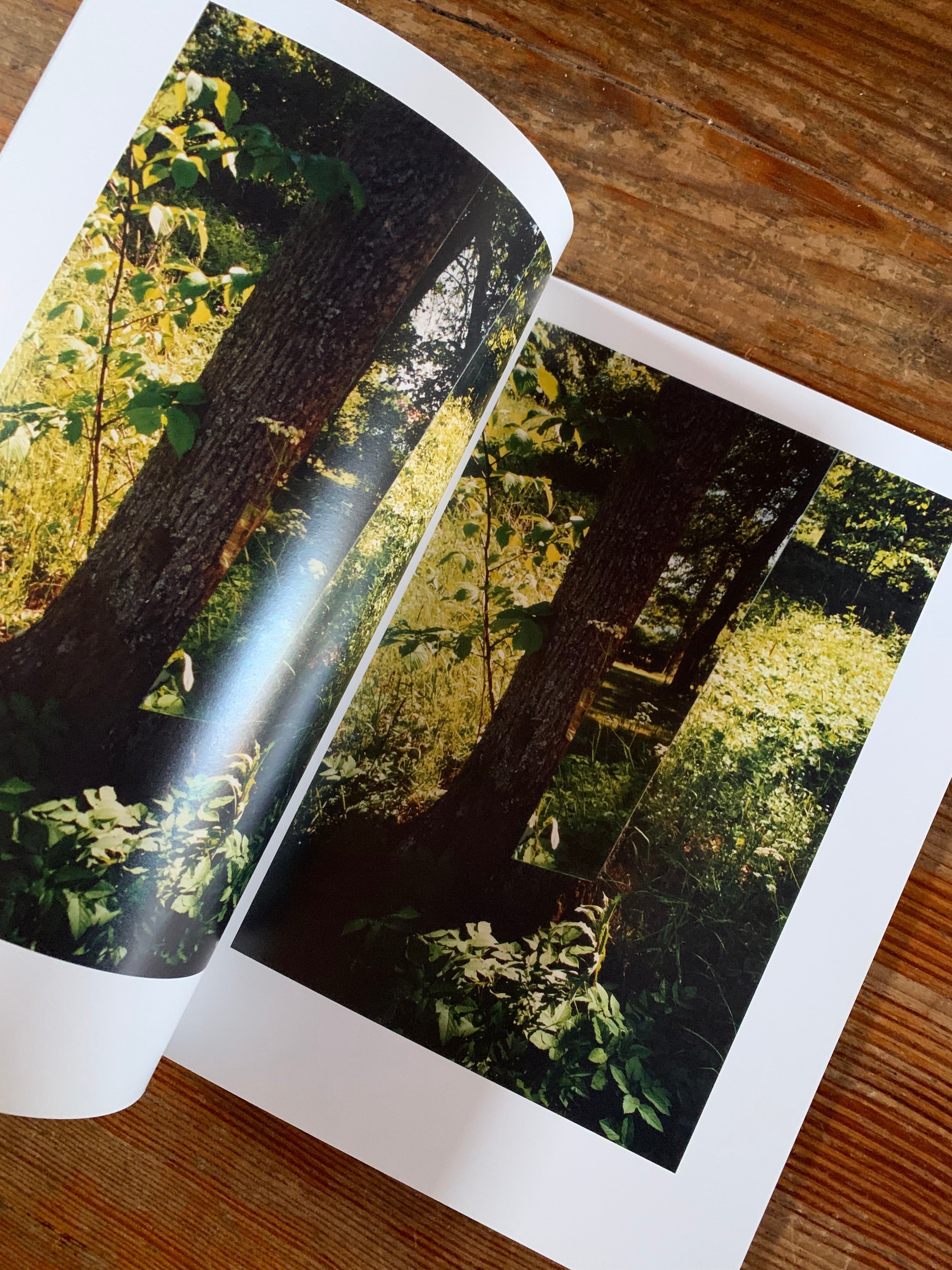 永瀬沙世『White Flowers』 | STANDARD BOOKSTORE