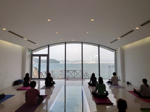 11/23㈷海yoga in シーホースチケット