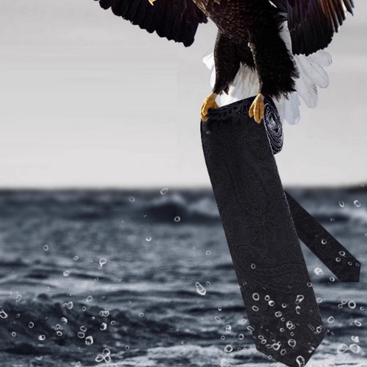 business formal necktie 00278