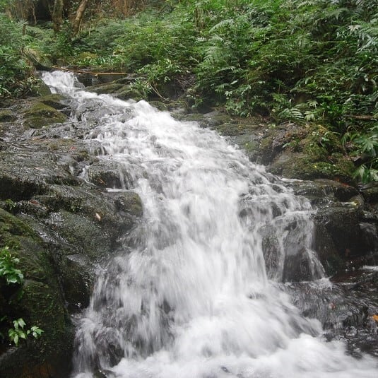 長期貯蔵原酒みしま村 【数量限定商品】令和6年9月10日発売