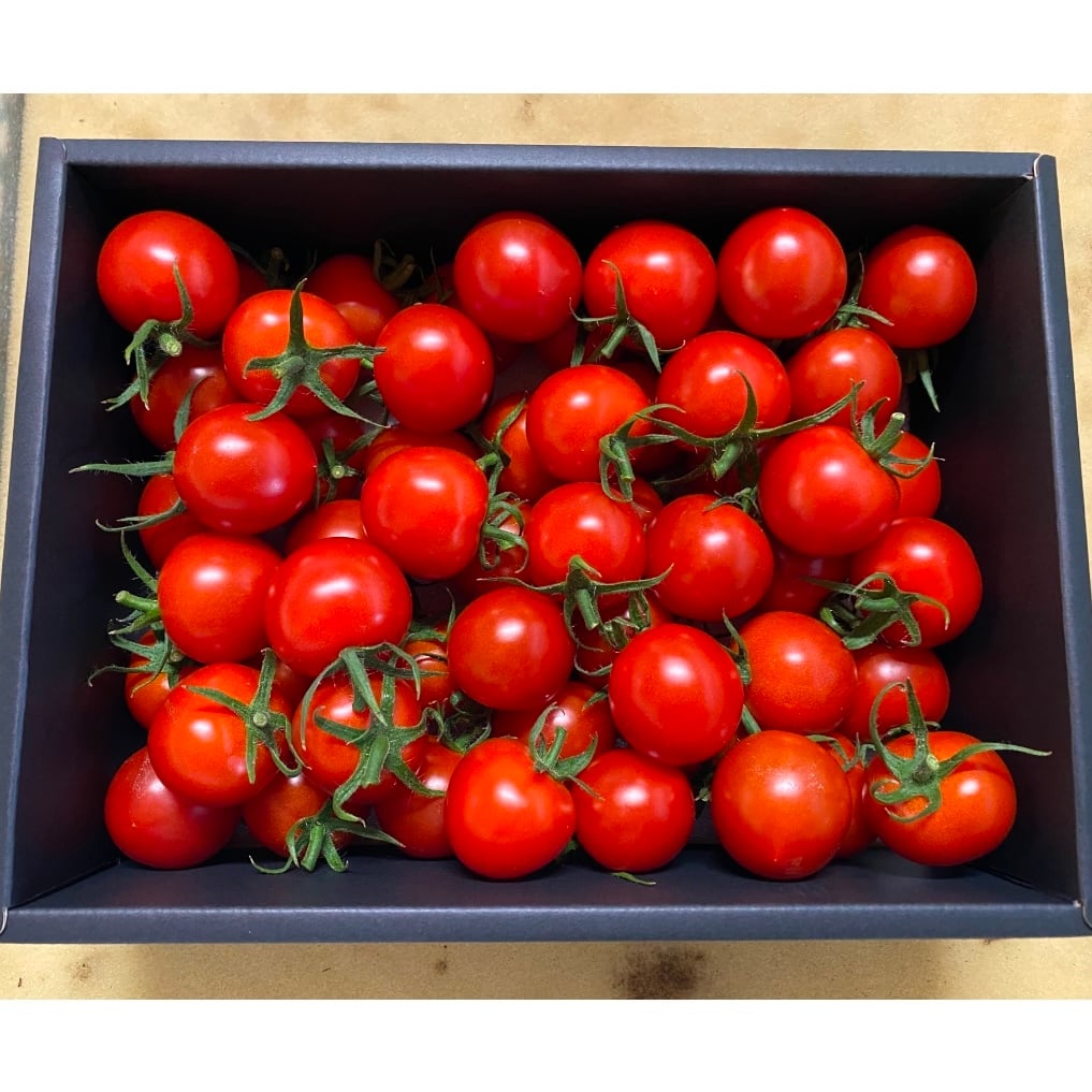 群馬県産ミニトマト 1kg