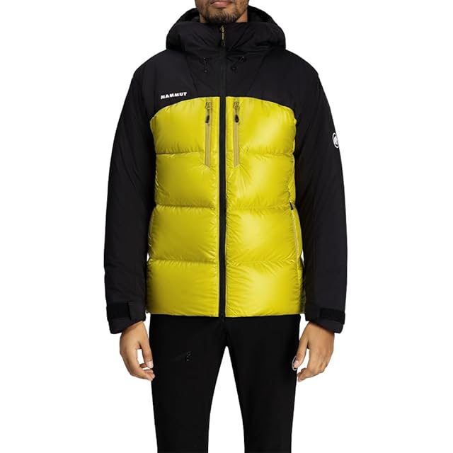 名作 Patagonia ダスパーカー ゲッコーグリーン S パタゴニア DAS