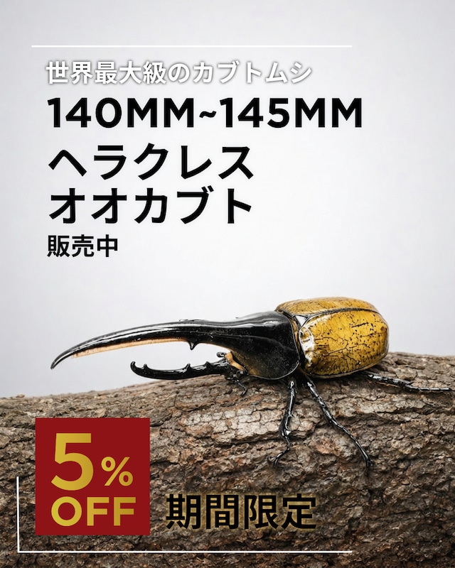 巨大超レア】【死着保証◯】160mm ヘラクレスオオカブト 成虫 オス