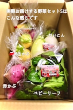 毎月直送　野菜セットS（5品目）