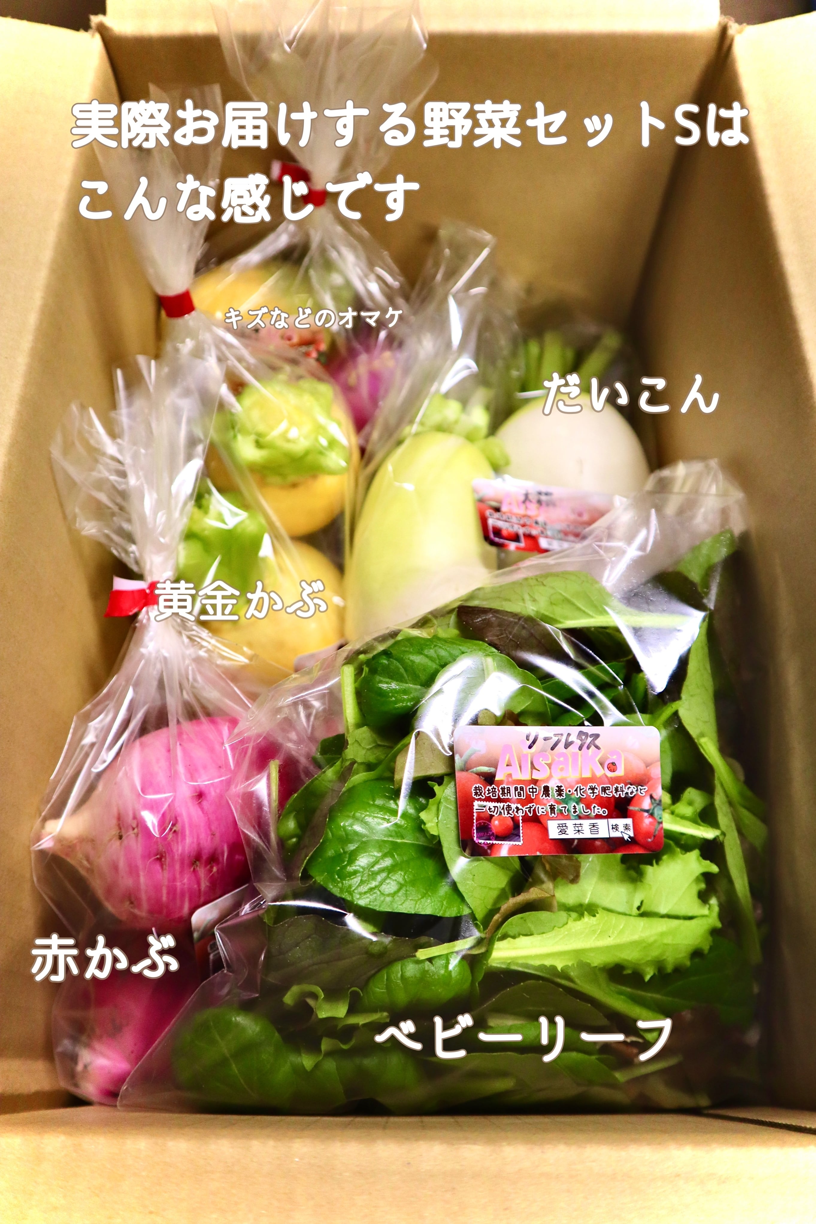 愛菜香　野菜セットS（5品目）　毎月直送　Aisaika