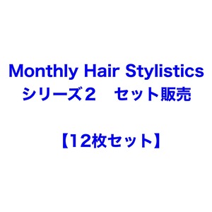 "Monthly Hair Stylistics シリーズ2" 12枚セット