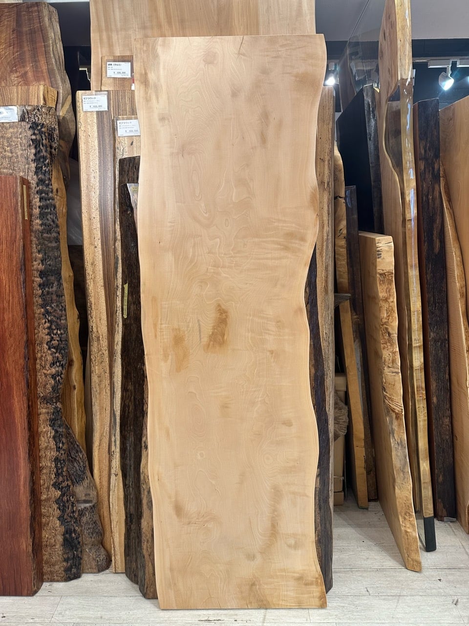 OUTLET】栃（トチ）_1950×570-500×45_新宿店_テーブル天板/一枚板 2200