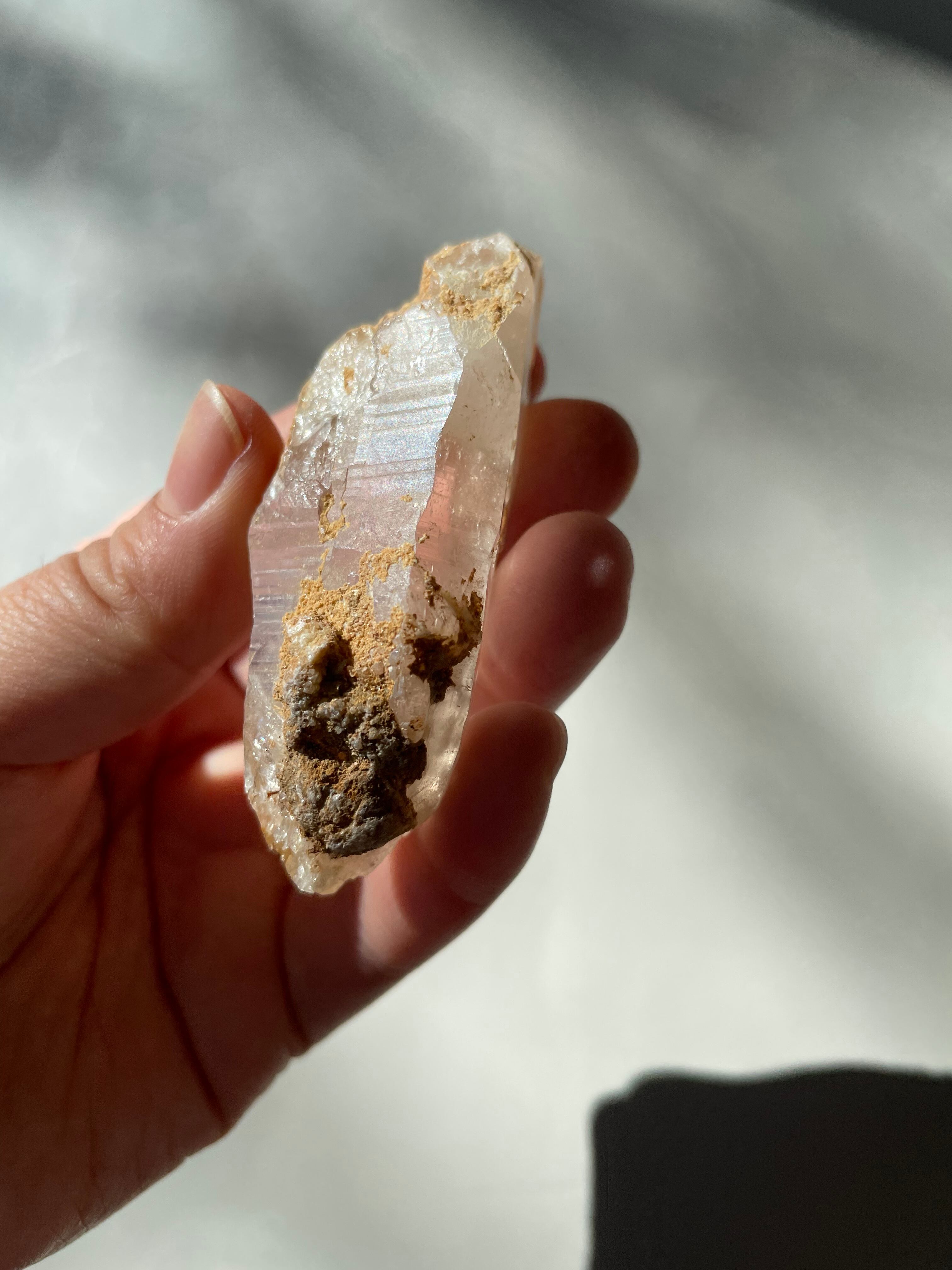 パキスタン　ギルギット　スカルドゥ産　ゴールデンヒーラー　DT