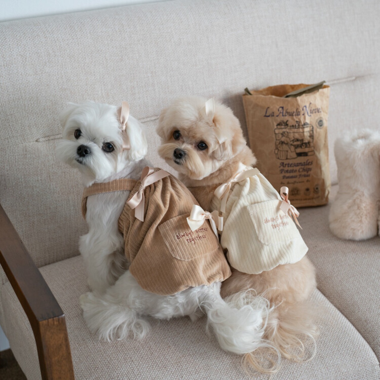 即納【cheese n mood】ベロアワンピース　(アイボリー)