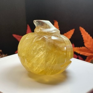 4.かぼちゃ・フローライト