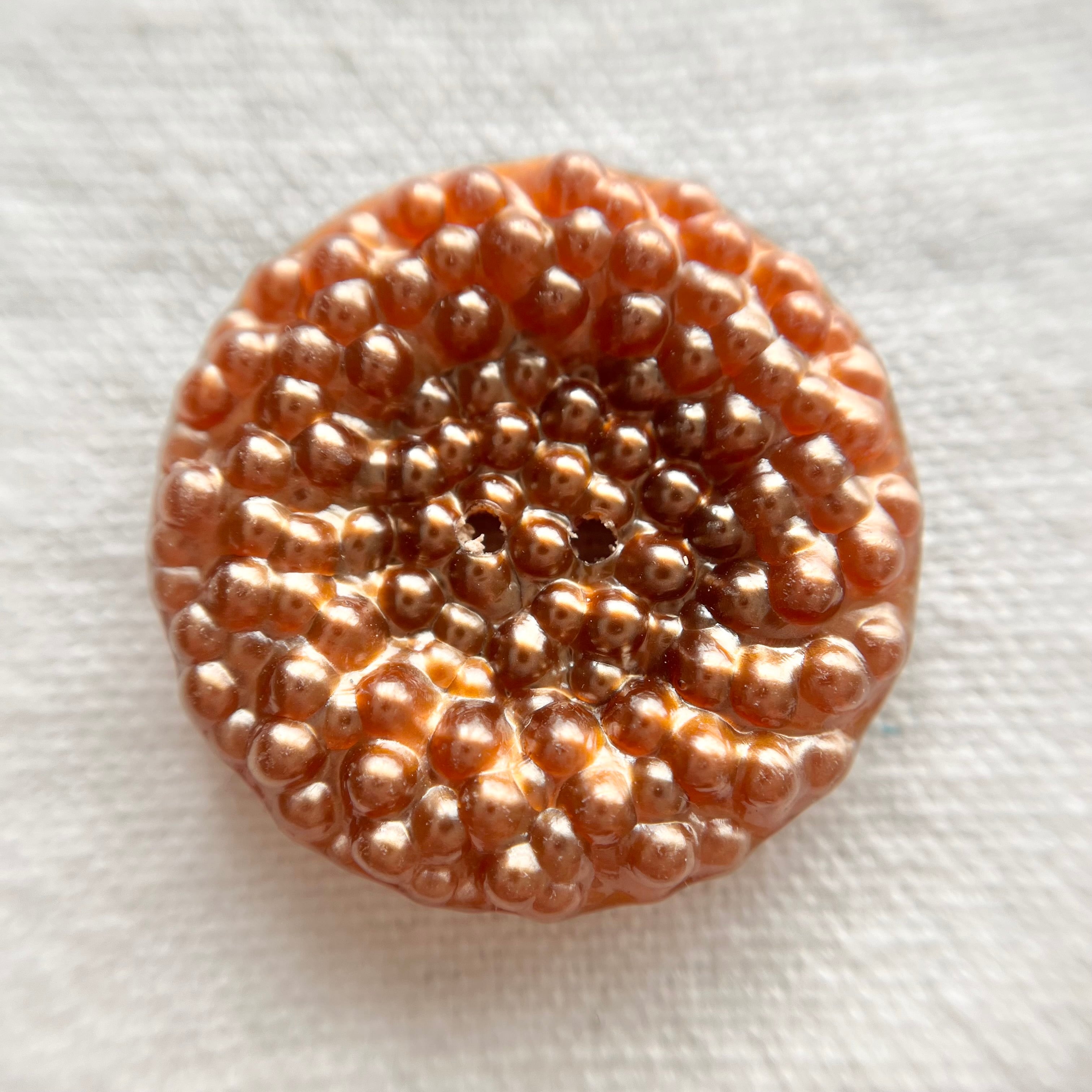 フランス ドットシャイニーブラウン 2穴 36㎜