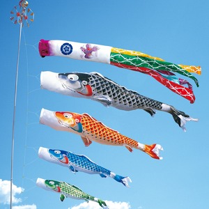 吉兆大型セット　８M７点セット（徳永鯉のぼり）