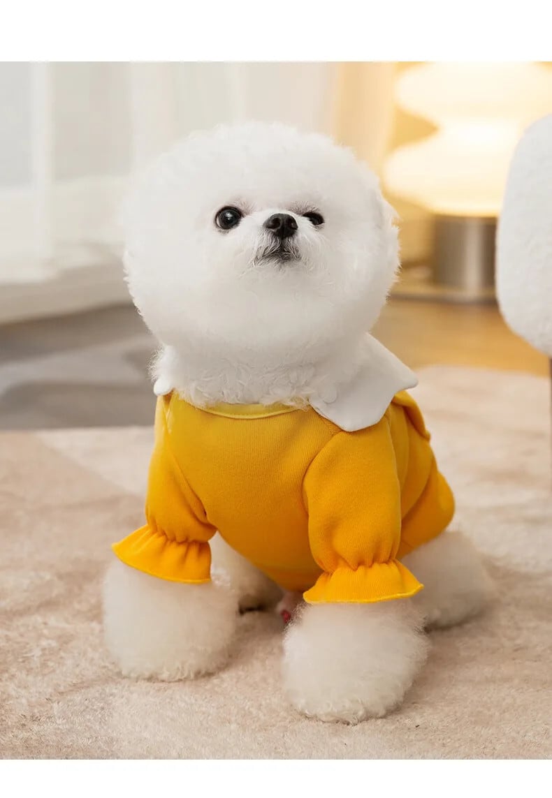 No.2427☘️ 犬猫用 リバーシブル バンダナ XXSサイズ 花柄 ブルー No