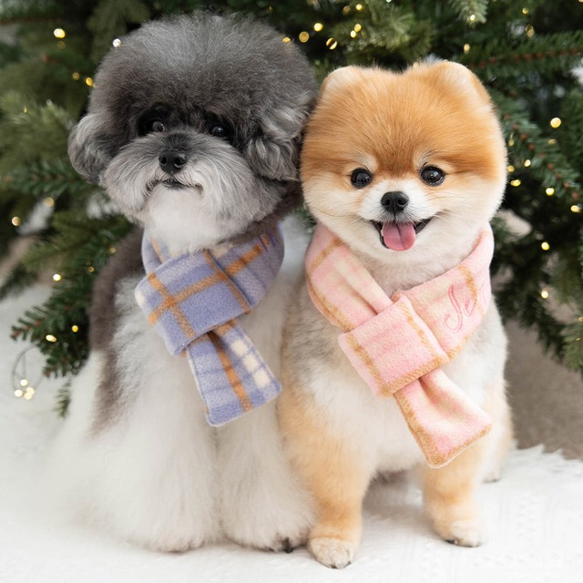 【予約】Lovery check muffler〈2color〉 / mymay　韓国犬服