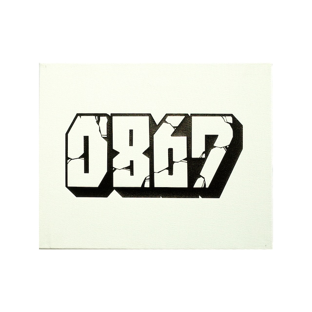 0867 / ThrowUp / Canvas (225mm × 160 mm) / White