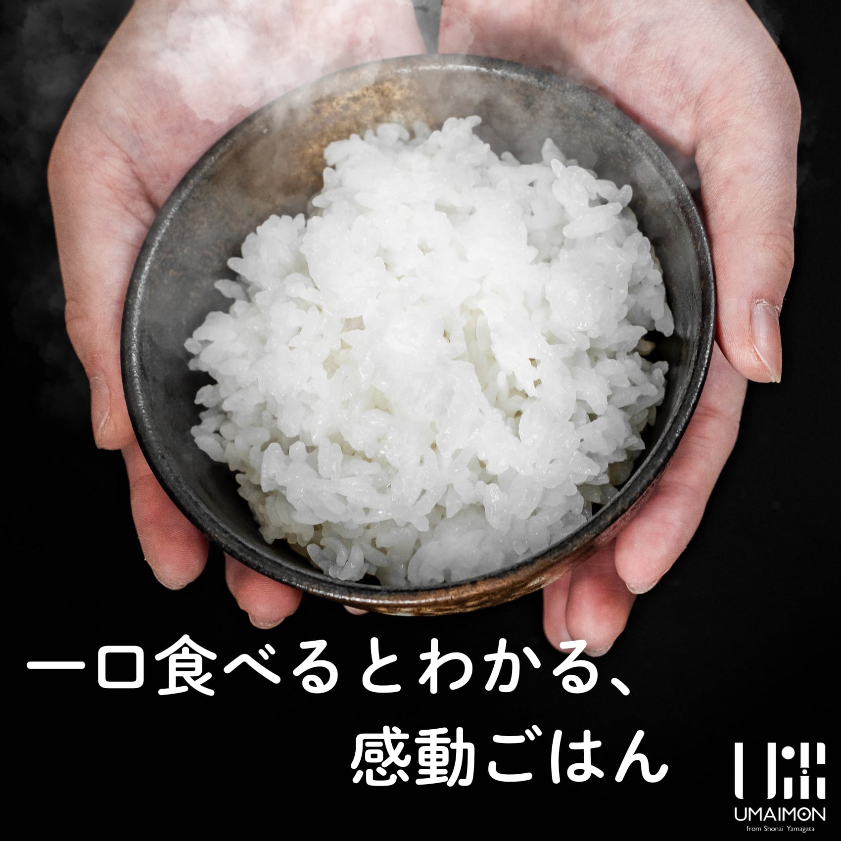 農家直送（送料込）！令和７年産　はえぬき　山形県庄内産　白米１０ｋｇ はえぬき 10kg 令和7年山形庄内産 | U米MON庄内