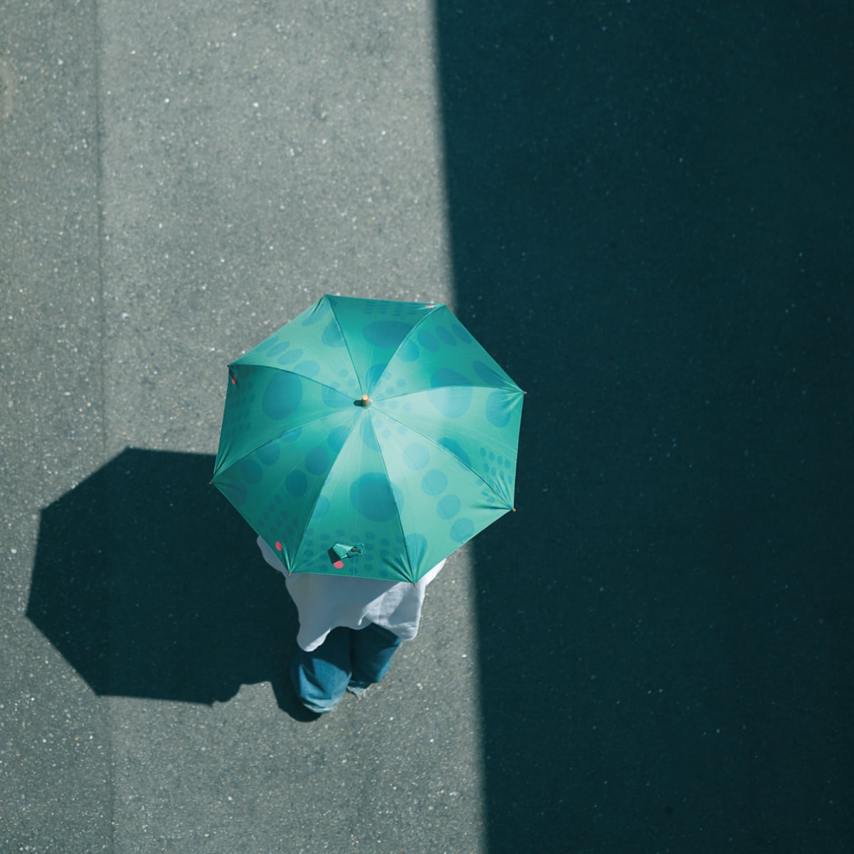 晴雨兼用傘 | tiger&rabbit design shop