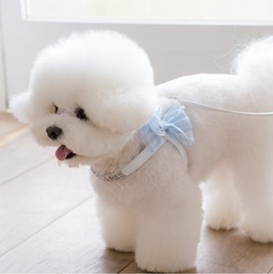 予約【stroll】Soft Walk Harness (White)
