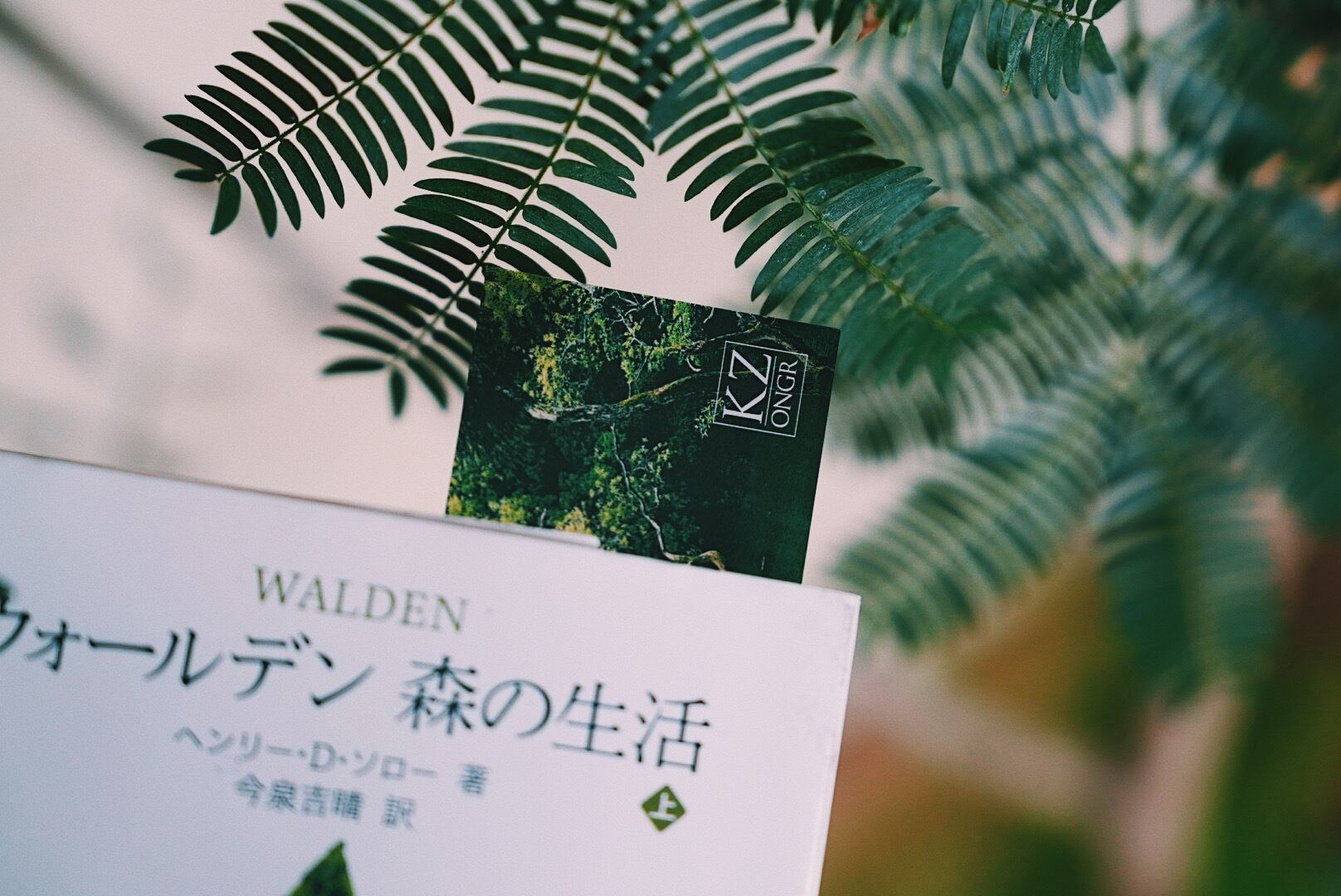 クリアしおり | KZ's Store